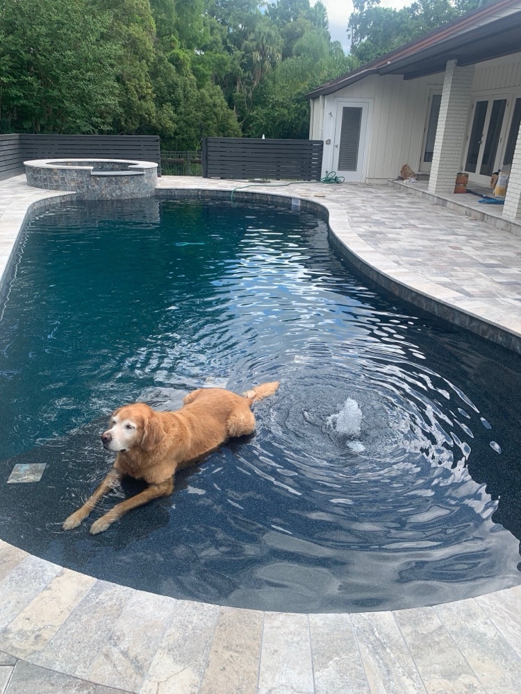 Brick coping to dark resurface + travertine deck — after, view 2